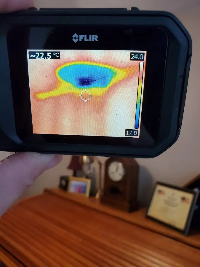 Thermal imaging inspection for water damage in Wade Hampton
